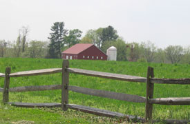 Sugarloaf Vineyard